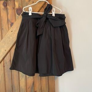 Express  skirt